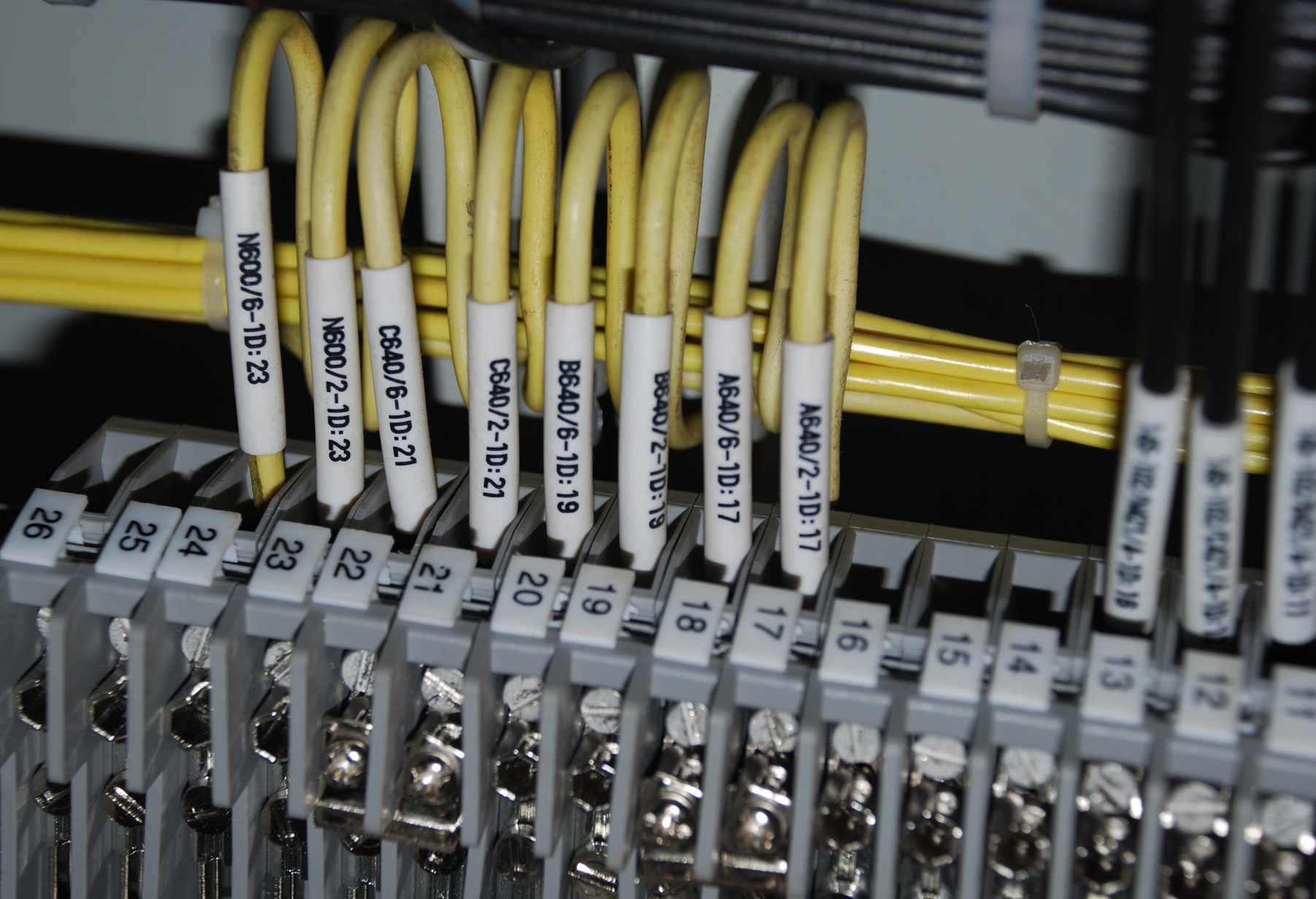 腾博会线号机应用方案实例